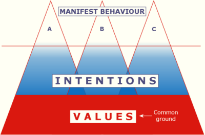 Manifest behaviour, intentions, values